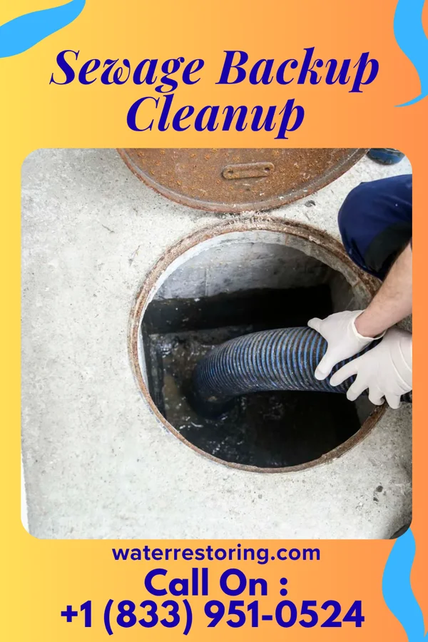 Sewage Backup Cleanup in Volga, SD